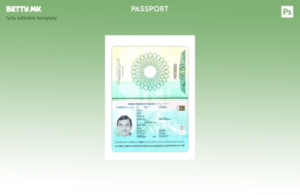 Модерен стил Пакистански сегашен шаблон за пасош 1